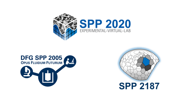 Logos der SPPs 2005, 2020 & 2187